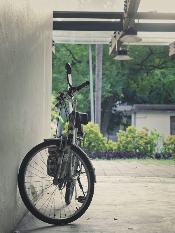 Vélos électriques upway : le choix idéal pour tous les styles